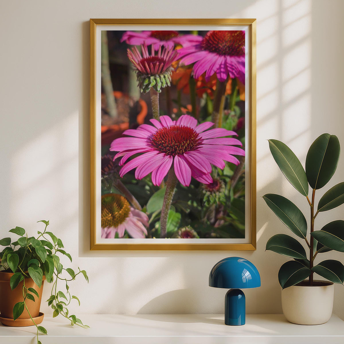 Echinacea Coneflower Poster, Pink Botanical Wall Art, Garden Flower Print, Bright Floral Photography, Summer Garden Decor