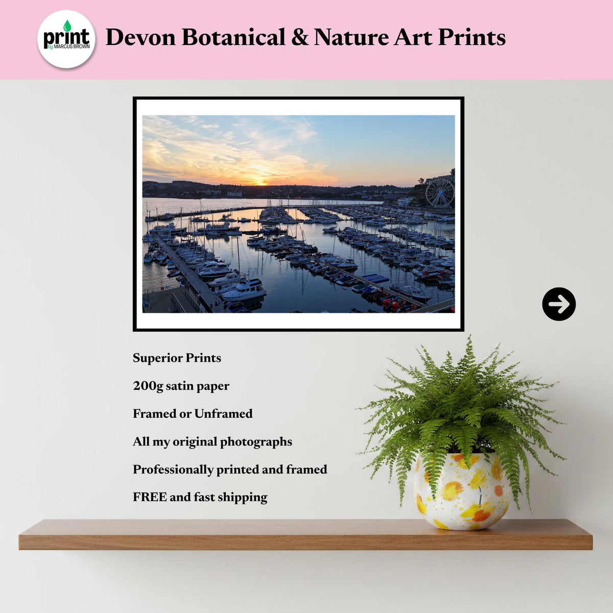 Torquay Marina in Devon at Sunset | Coastal Wall Art, Seaside Print, Beach House Decor, Estuary, River Exe, Drone Photography