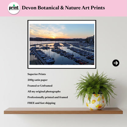 Torquay Marina in Devon at Sunset | Coastal Wall Art, Seaside Print, Beach House Decor, Estuary, River Exe, Drone Photography