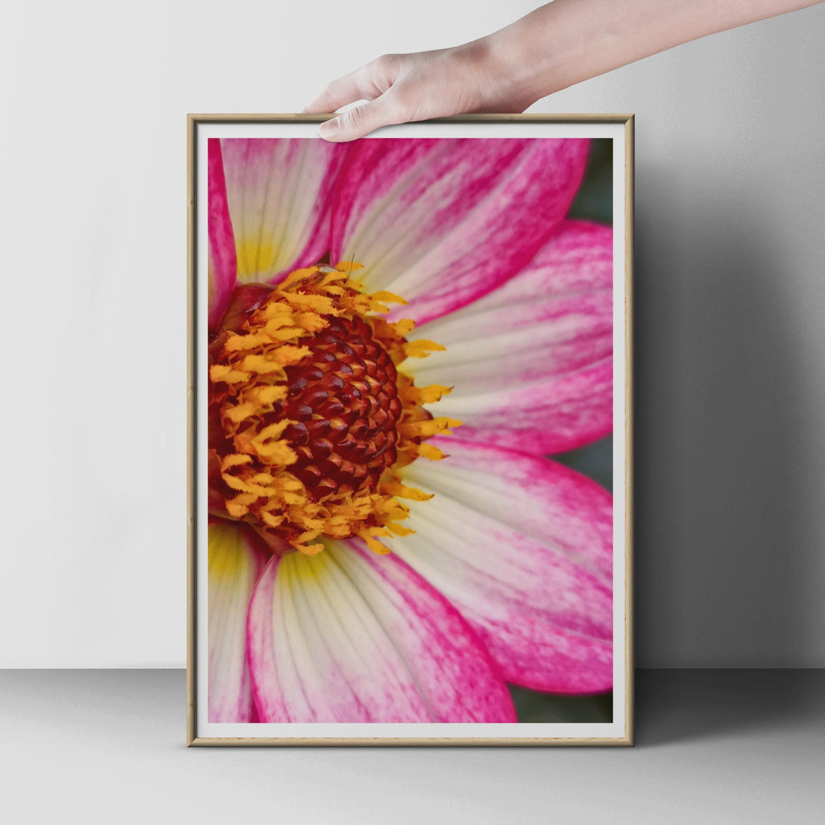 Pink Dahlia Macro Photography Print, Close Up Flower Wall Art, Hot Pink Floral Poster, Botanical Bedroom Decor, Garden Flower Photo Print
