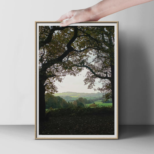 Autumn Trees Framed Countryside View, English Landscape Wall Art, Rural Nature Poster, Rolling Hills Print, Green Fields Photography