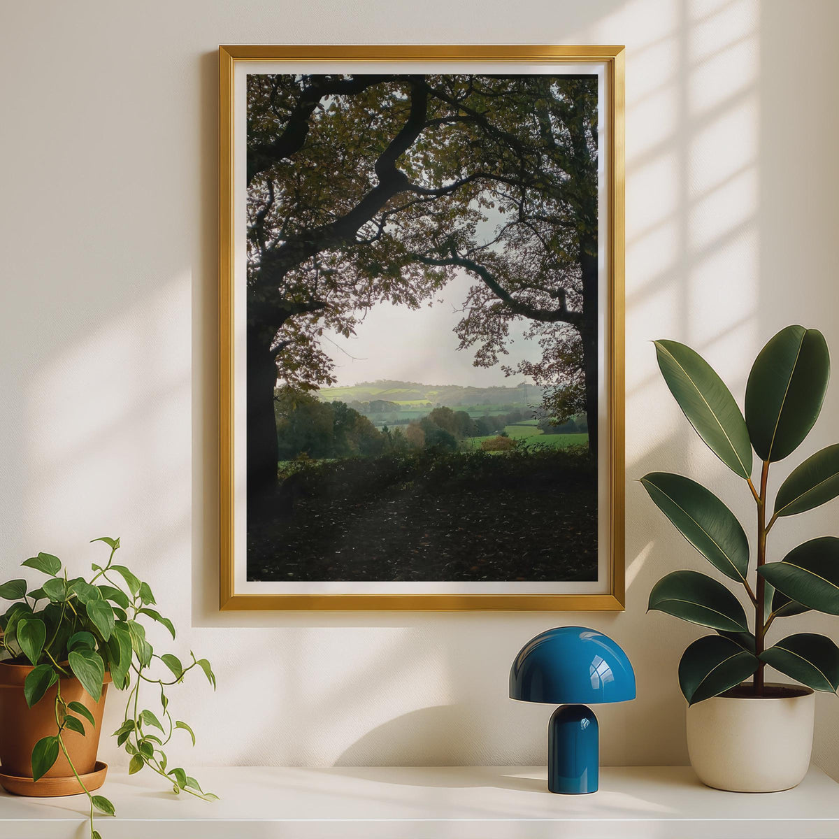 Autumn Trees Framed Countryside View - image 2