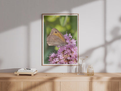 Meadow Brown Butterfly on Pink Wildflower Poster, British Wildlife Wall Art, Nature Photography Print, Garden Insect Decor