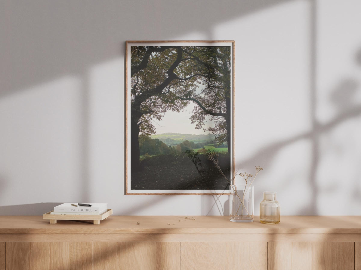 Autumn Trees Framed Countryside View - image 4