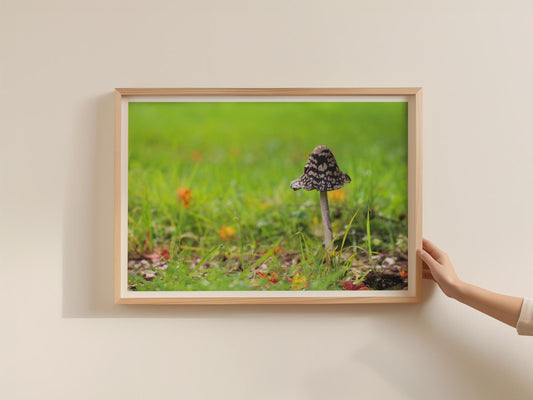 Magpie Inkcap Mushroom Poster, Fungi Landscape Framed-Print, Nature Photography Wall Art, Botanical Green Meadow Print