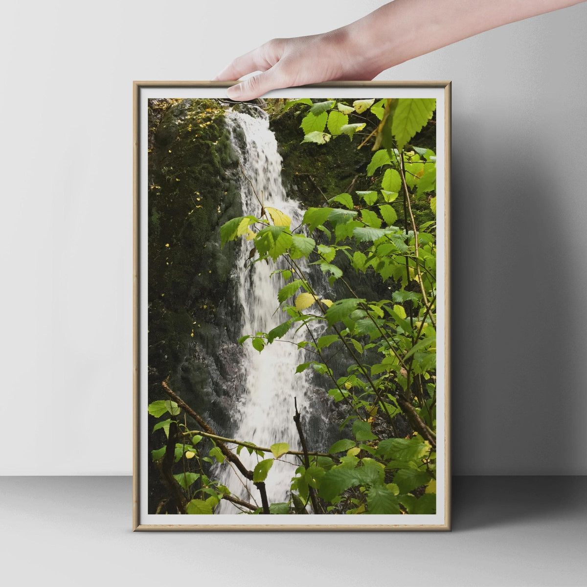 Forest Waterfall Photography Print, Green Nature Poster, Woodland Wall Art, Cascading Water Leaves, Lush Trees Nature Print for Living Room