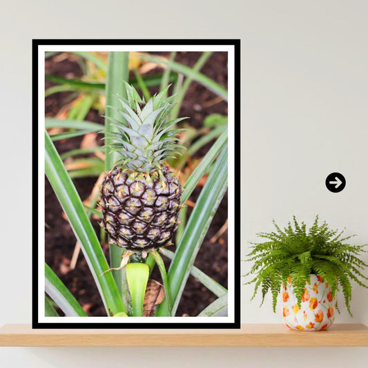 Pineapple Plant Print Tropical Botanical Wall Art Nature Photography Inspired by Eden Collection