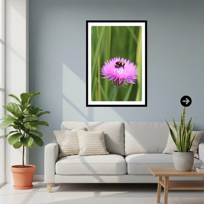 Pink Wildflower Bee Photography Print | Botanical Nature Wall Art, Cottagecore Decor