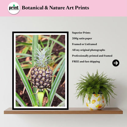 Pineapple Plant Print Tropical Botanical Wall Art Nature Photography Inspired by Eden Collection
