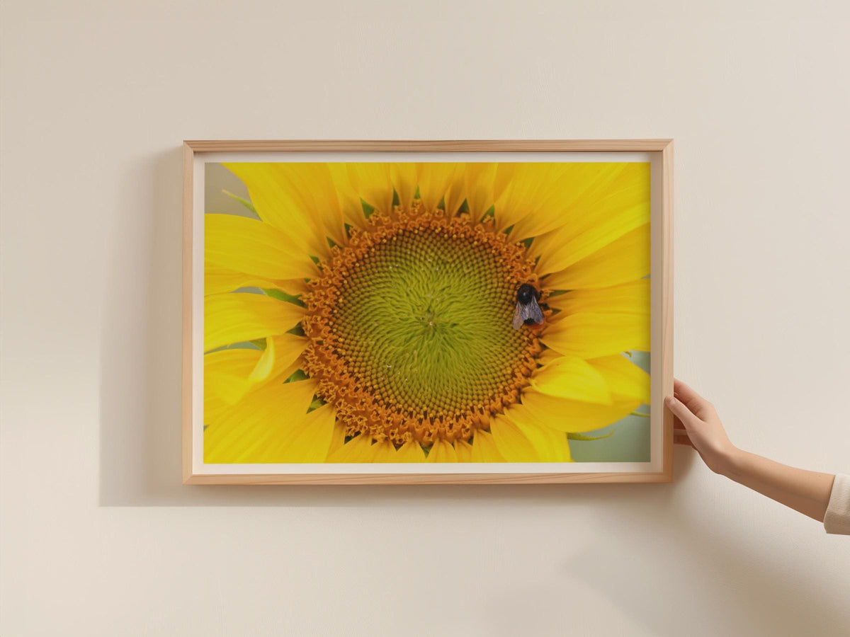 Sunflower Bee Poster, Close Up Macro Floral Wall Art, Yellow Flower Framed-Print, Nature Photography, Summer Botanical Decor