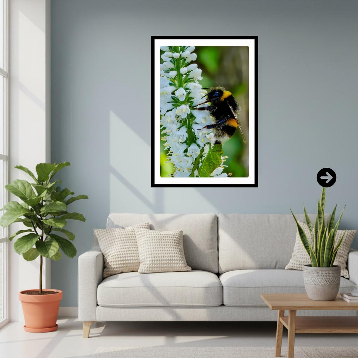 Macro Bumblebee Photography Print | White Floral Botanical Nature Decor