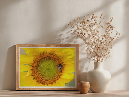 Sunflower Bee Poster, Close Up Macro Floral Wall Art, Yellow Flower Framed-Print, Nature Photography, Summer Botanical Decor