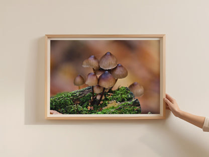 Woodland Fungi Poster, Wild Mushroom Framed Print, Autumn Forest Nature Photography, Brown Toadstool Wall Art, Mossy Log Macro Print