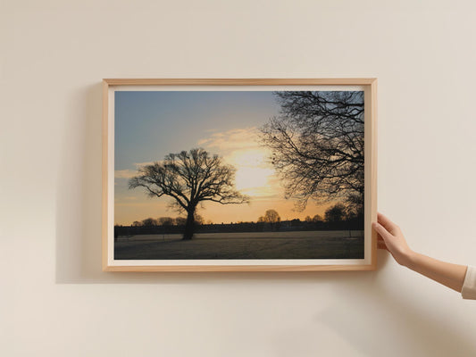 Winter Sunrise Tree Silhouette Landscape Poster, Bare Oak Framed-Print, Dawn Park Scene, Frost Morning Wall Art, Golden Sky Nature Print