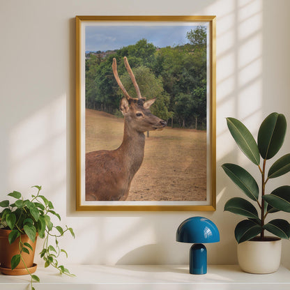 Red Deer Stag Portrait Poster, Wildlife Photography Print, British Deer Wall Art, Nature Lover Gift, Animal Close Up, Brown Green Country