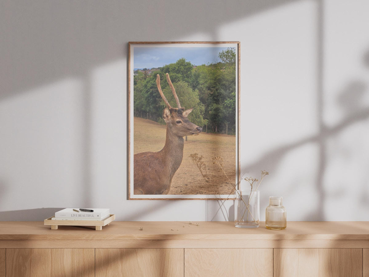 Red Deer Stag Portrait Poster, Wildlife Photography Print, British Deer Wall Art, Nature Lover Gift, Animal Close Up, Brown Green Country