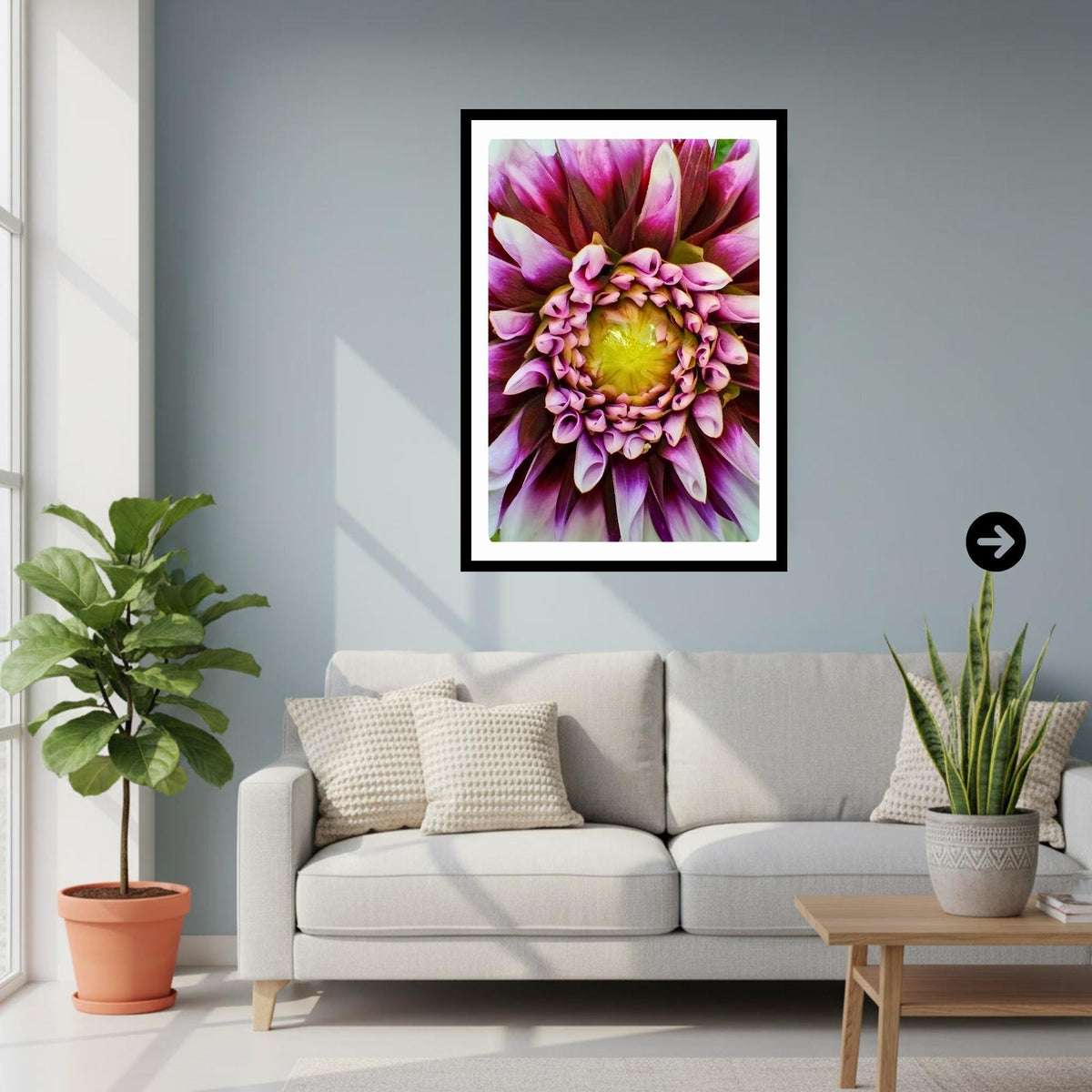 Purple White Dahlia Macro Flower Print | Botanical Wall Art, Cottagecore Decor