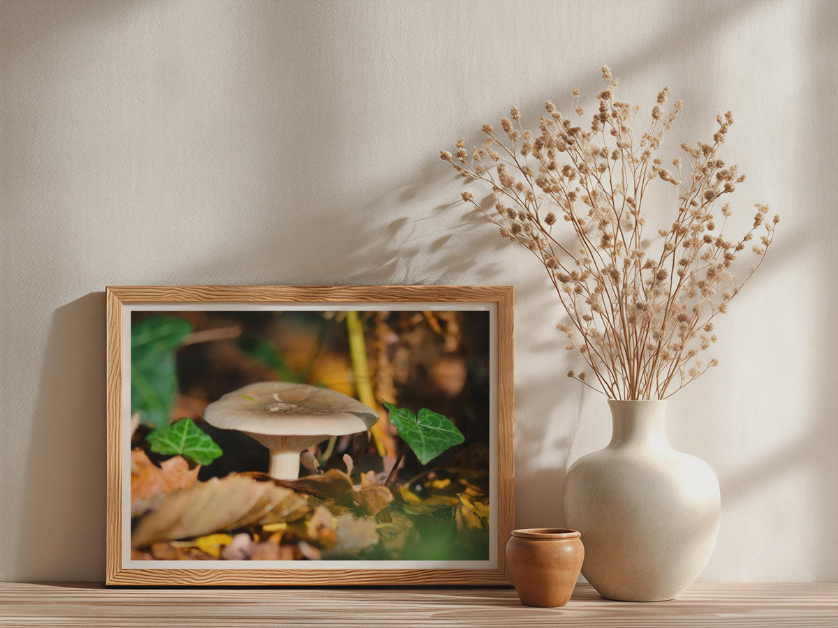 Fungi Mushroom Photography Poster mockup - Neutral_Mockup_Studio_509