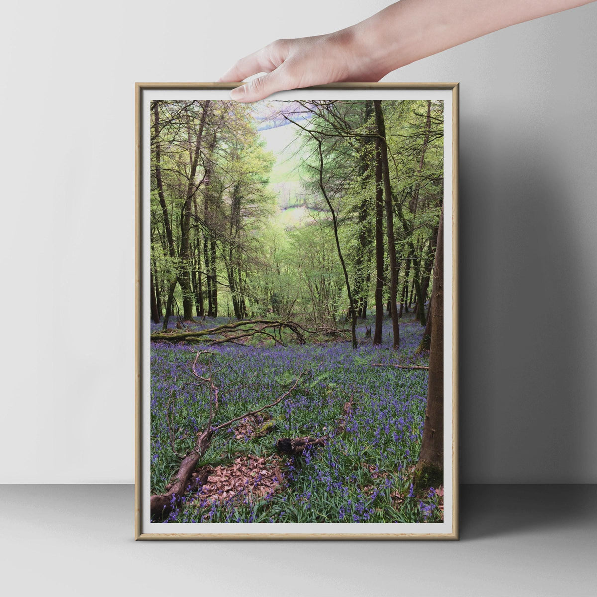 Bluebell Wood Poster, British Forest Photography Print, Spring Woodland Wall Art, Purple Flowers Nature Print, Green Trees Photo Poster