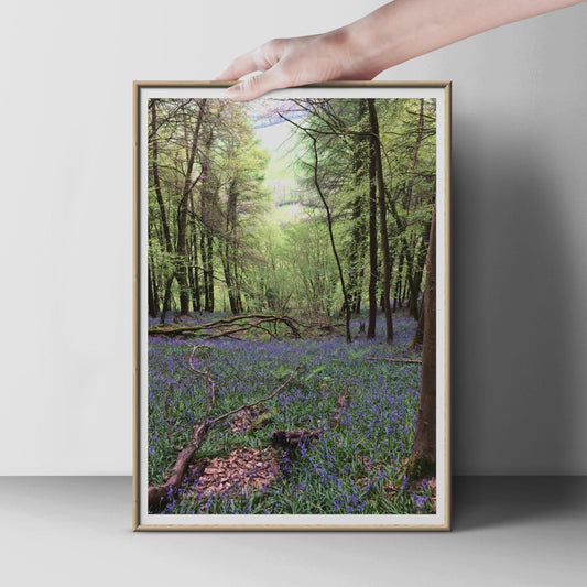 Bluebell Wood Poster, British Forest Photography Print, Spring Woodland Wall Art, Purple Flowers Nature Print, Green Trees Photo Poster