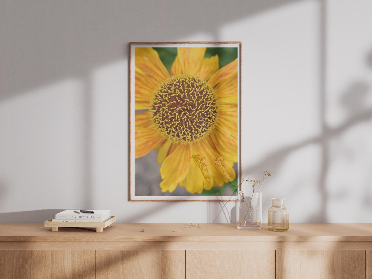 Yellow Orange Flower Close Up Photography Poster, Macro Botanical Wall Art, Sunflower Style Print, Garden Floral Decor, Nature Lover Gift