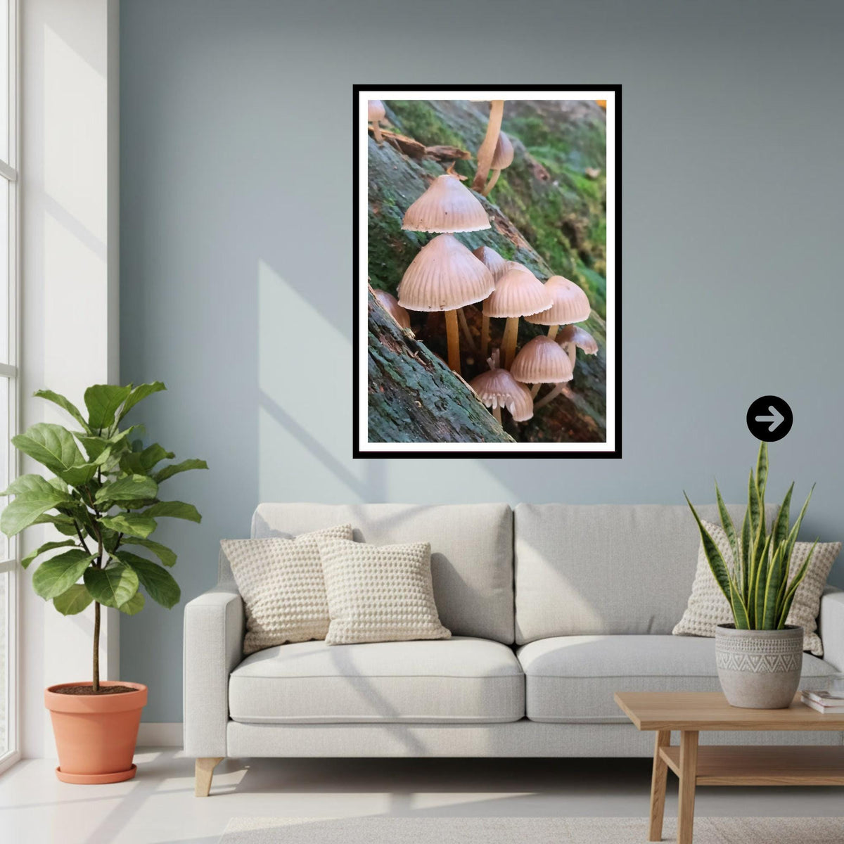 Fairy Bonnet Fungi Print Art, Mushrooms Wall Decor, Nature Photography, Woodland Fungi Illustration, Archival FSC Certified Paper, Botanical