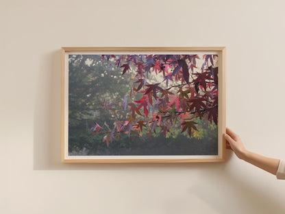 Japanese Maple Autumn Leaves Poster, Misty Forest Landscape Framed-Print, Red Foliage Wall Art, Nature Photography, Dawn and Dusk Print
