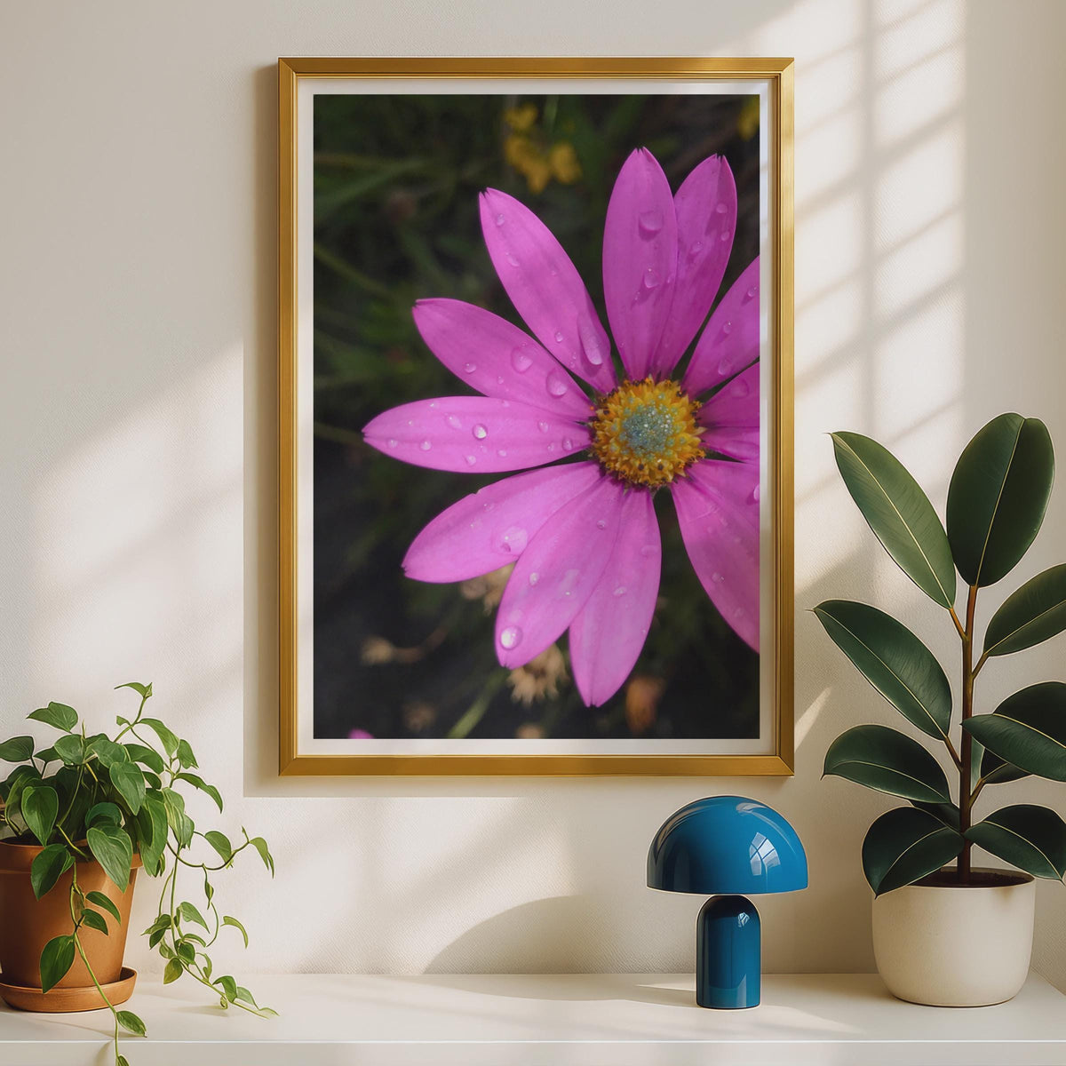 Pink Cosmos Flower Poster, Rain Drops Macro Photography Print, Bright Floral Wall Art, Garden Flower Photo Print for Living Room