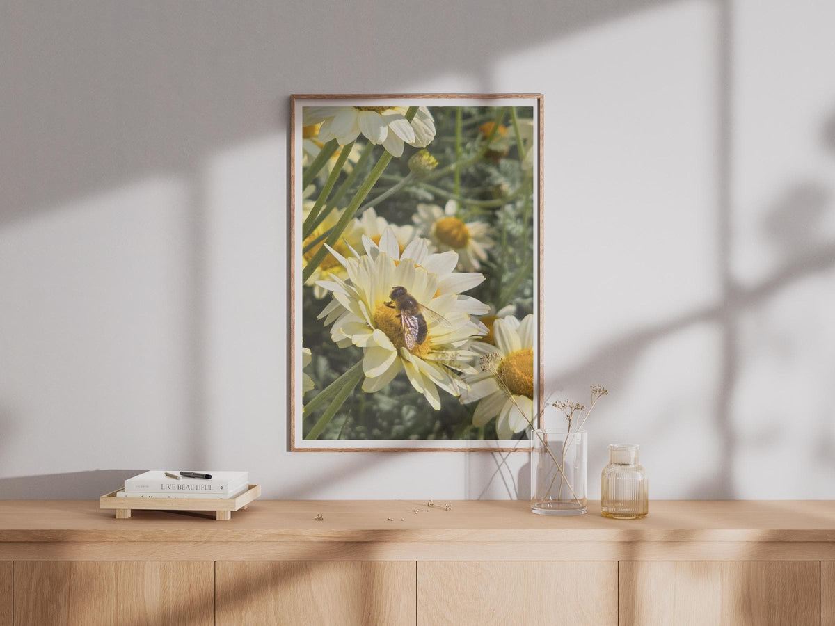 Bee on Daisy Flower Photo Poster, White Daisy Print, Nature Wildlife Wall Art, Garden Insect Photography, Yellow Green Botanical Decor