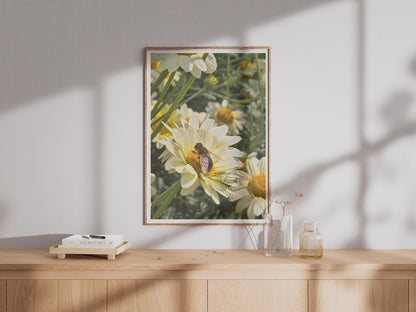 Bee on Daisy Flower Photo Poster, White Daisy Print, Nature Wildlife Wall Art, Garden Insect Photography, Yellow Green Botanical Decor