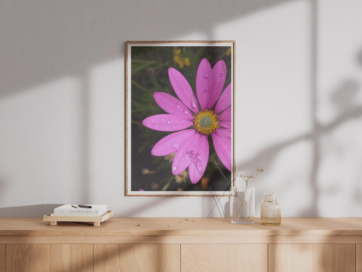 Pink Cosmos Flower Poster, Rain Drops Macro Photography Print, Bright Floral Wall Art, Garden Flower Photo Print for Living Room
