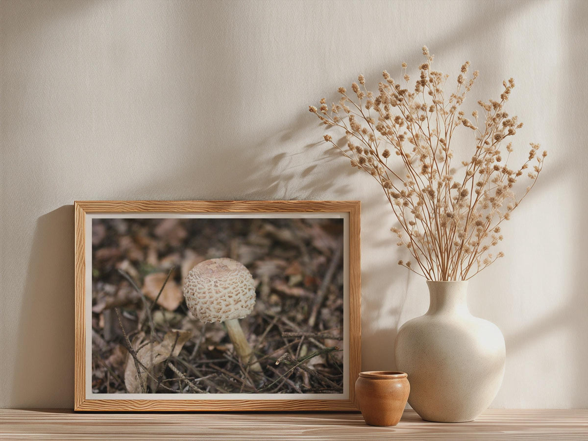 Parasol Mushroom Fungi Poster mockup - Neutral_Mockup_Studio_509