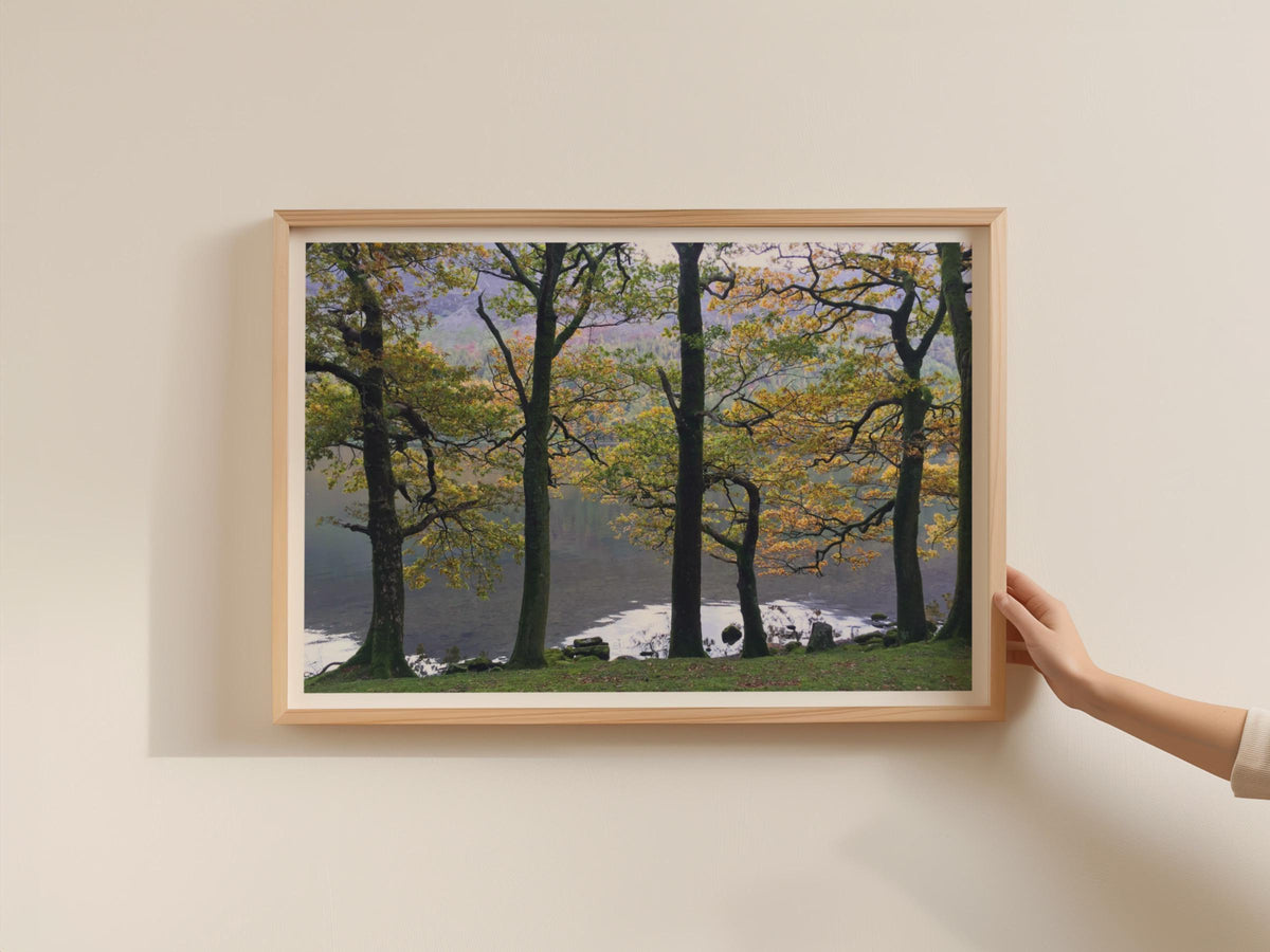 Autumn Trees Lake Landscape Poster, Woodland Lakeside Framed-Print, Golden Foliage Nature Wall Art, Lake District British Countryside Print