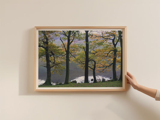 Autumn Trees Lake Landscape Poster, Woodland Lakeside Framed-Print, Golden Foliage Nature Wall Art, Lake District British Countryside Print