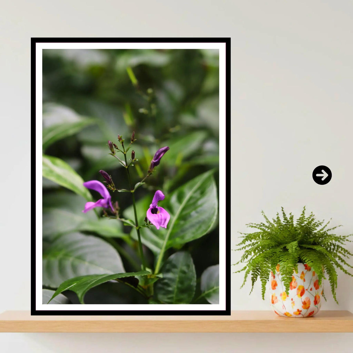 Delicate purple bloom at Eden Project Cornwall — Botanical Wall Art Photography Print
