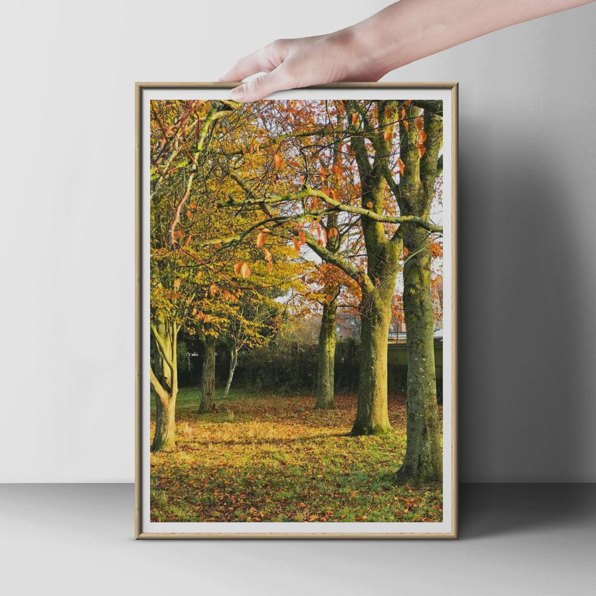 Autumn Trees Photography Poster, Fall Woodland Wall Art, Orange Golden Leaves Nature Print, Seasonal Forest Photo, Living Room Decor