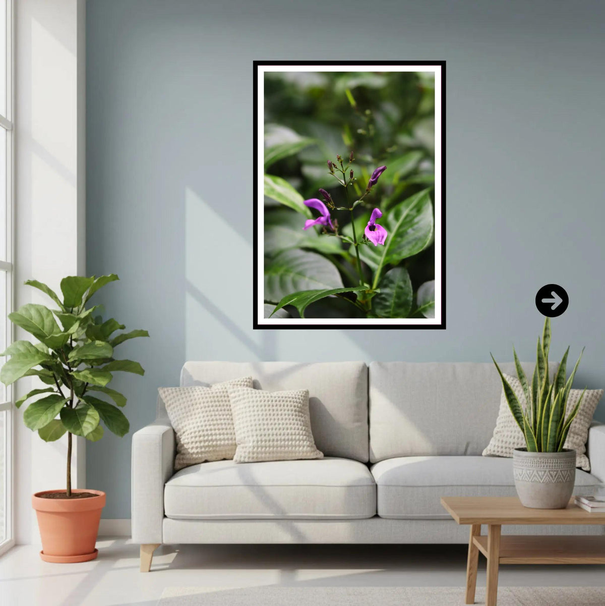 Delicate purple bloom at Eden Project Cornwall — Botanical Wall Art Photography Print
