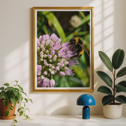 Bumblebee on Allium Flower Poster, Macro Nature Photography Print, Wildlife Garden Wall Art, Pink Purple Bee Lover Gift