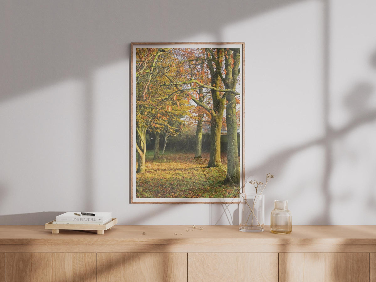 Autumn Trees Photography Poster - image 4