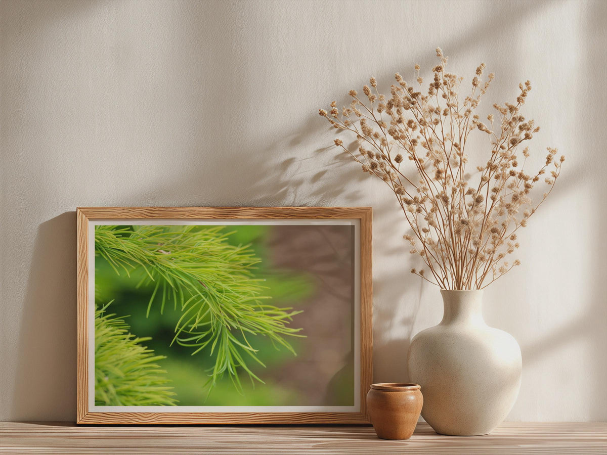 Pine Needle Close Up Botanical Poster, Fresh Green Conifer Framed-Print, Nature Wall Art, Macro Photography Print for Living Room Decor