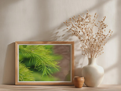 Pine Needle Close Up Botanical Poster, Fresh Green Conifer Framed-Print, Nature Wall Art, Macro Photography Print for Living Room Decor