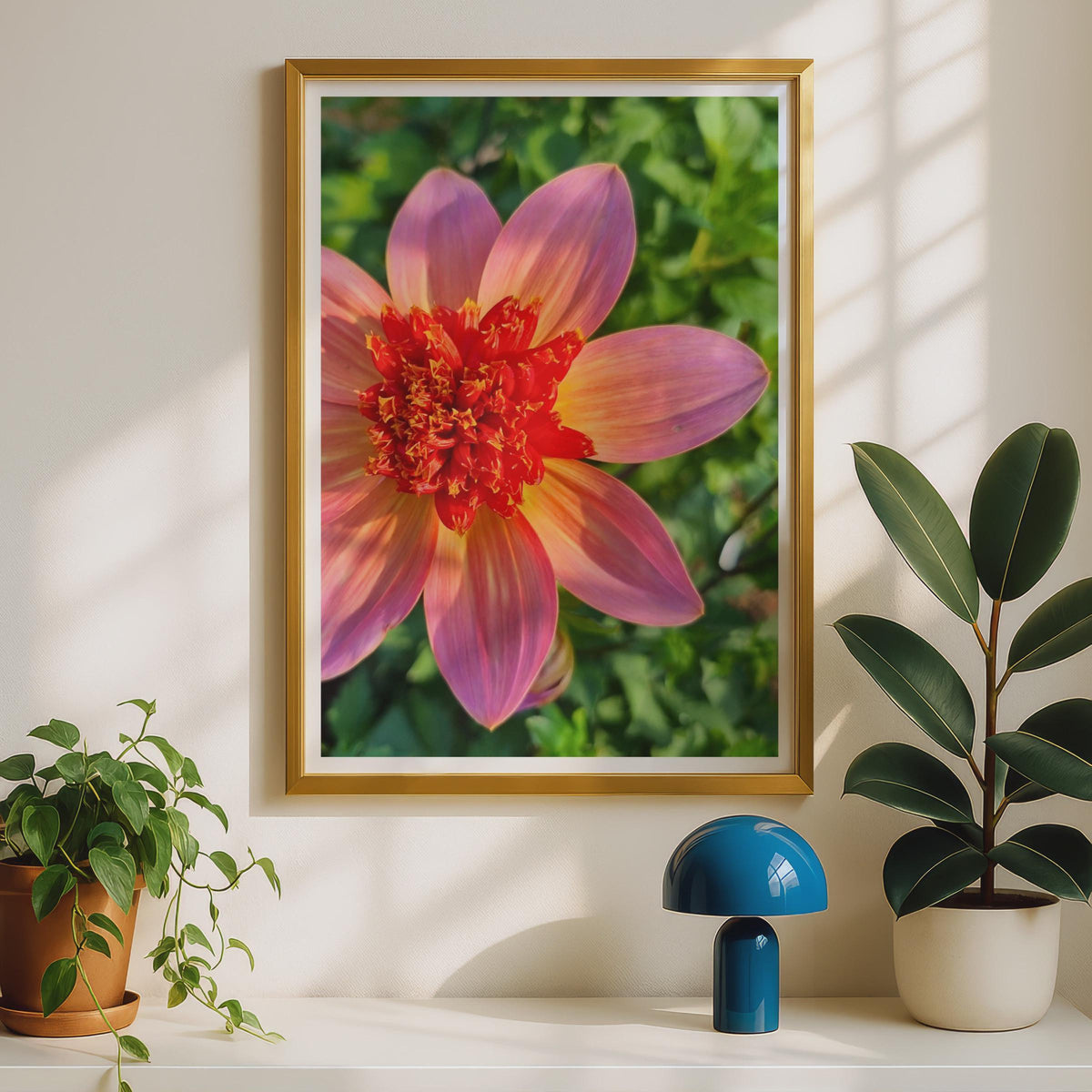 Pink Orange Dahlia Flower Print, Close Up Botanical Wall Art, Garden Flower Poster, Floral Photography, Living Room Bedroom Decor
