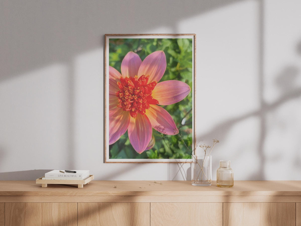 Pink Orange Dahlia Flower Print, Close Up Botanical Wall Art, Garden Flower Poster, Floral Photography, Living Room Bedroom Decor