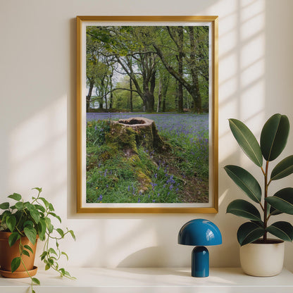 Bluebell Wood Poster - image 2