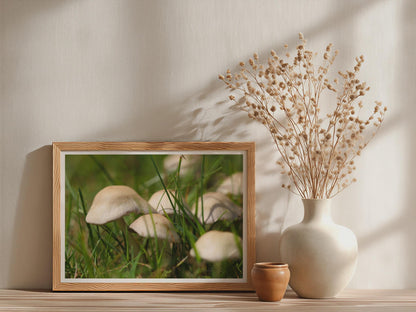 Fungi Mushroom Poster mockup - Neutral_Mockup_Studio_509