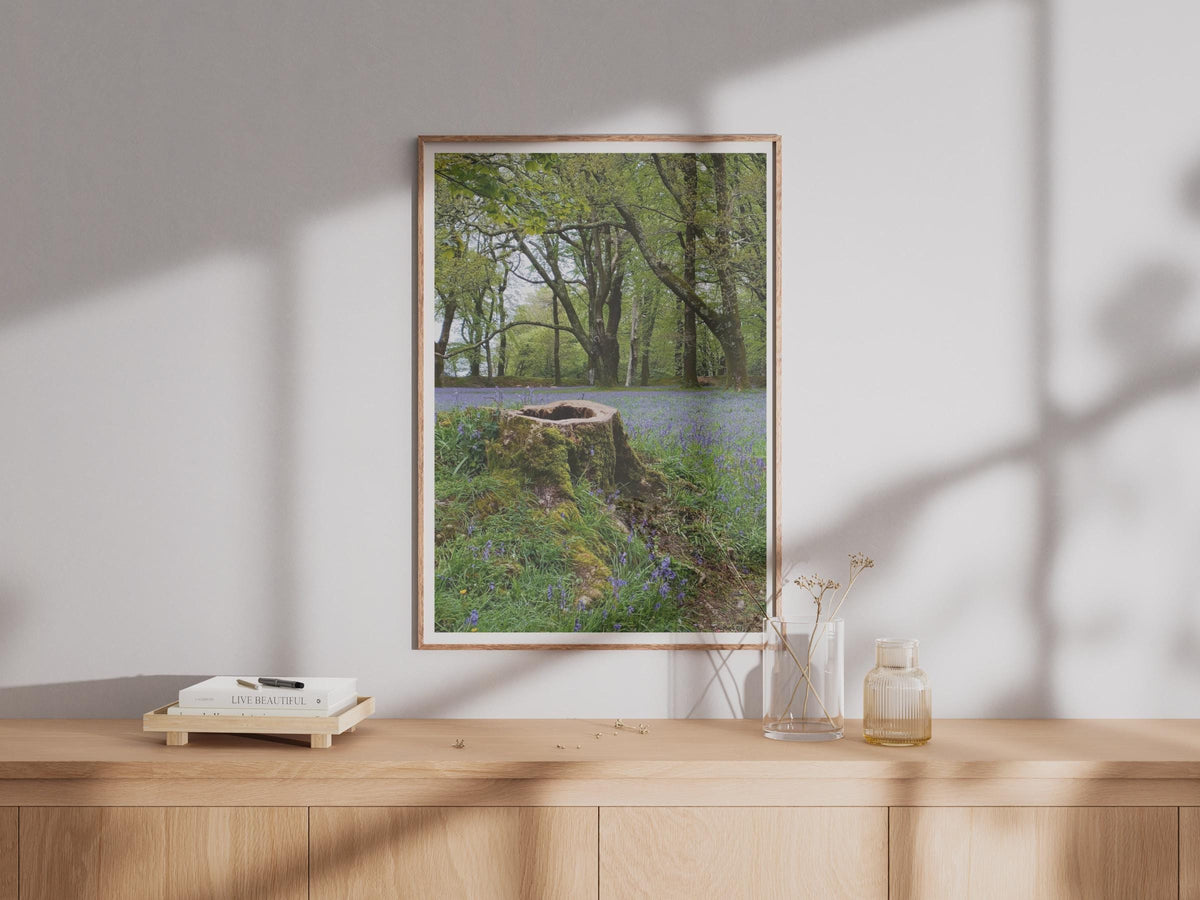 Bluebell Wood Poster - image 4