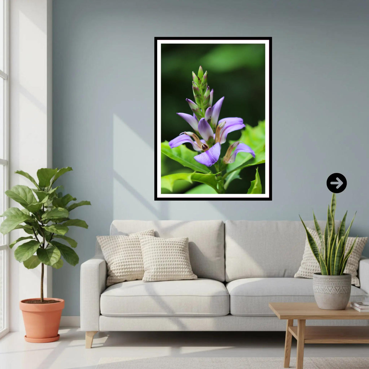 Purple tropical bloom at Eden Project Cornwall — Wall Art, Photography Print