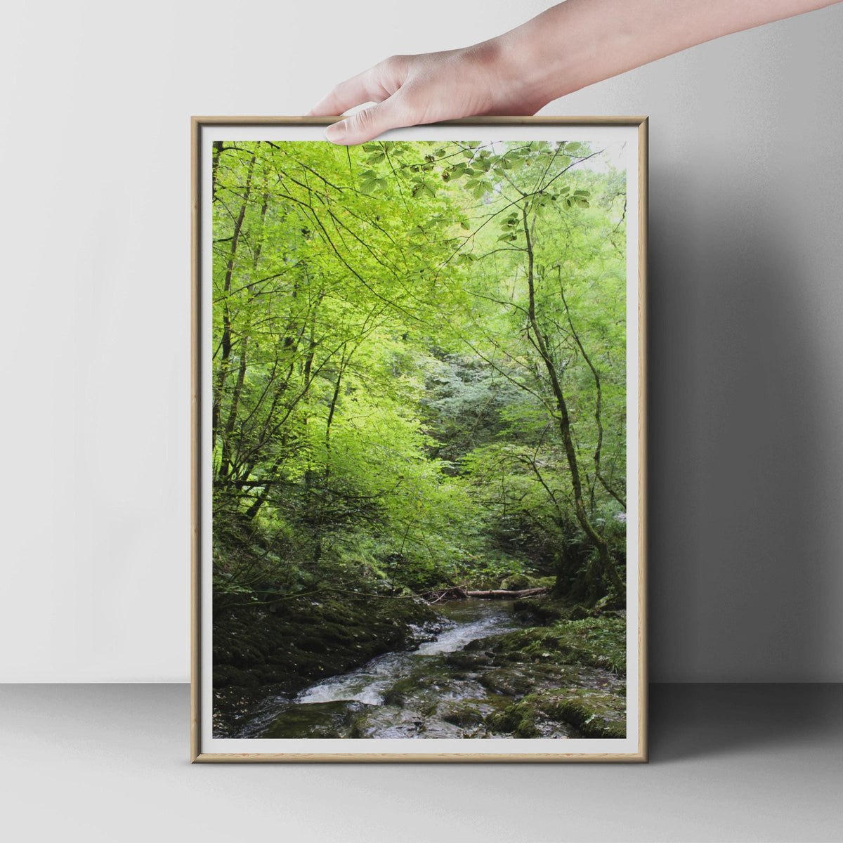 Forest Stream Poster, Woodland River Wall Art, Lush Green Trees Print, Nature Photography, Mossy Rocks Decor, Living Room Wall Art Print