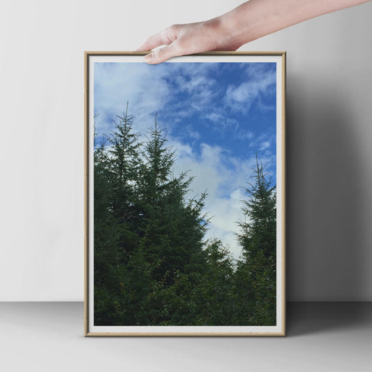 Evergreen Trees Blue Sky Poster, Conifer Forest Nature Photography Print, Green Wall Art, Woodland Photo, Living Room Nature Decor