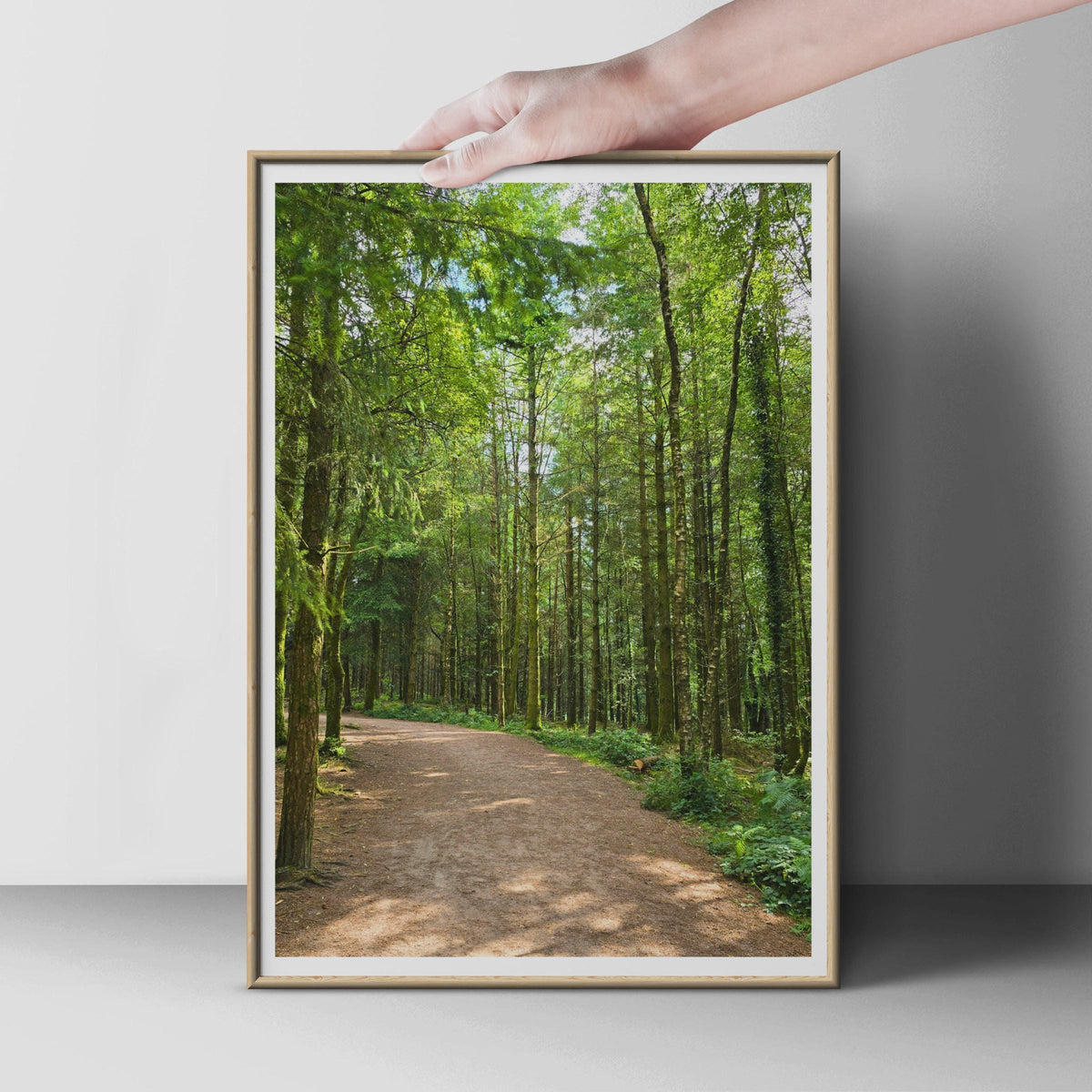 Forest Path Poster, Green Woodland Walk Wall Art, Nature Photography Print, Tall Trees Photo, Countryside Home Decor, Living Room Print